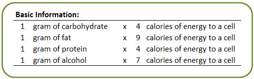 Merchandiser Traditional we How To Calculate Total Calories